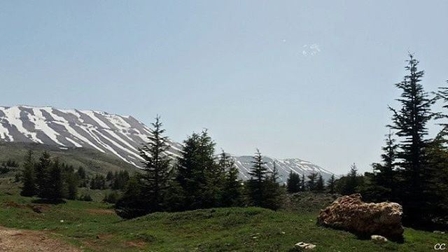  nature  lebanon  north  cedars  livelovelebanon  naturephotography  ...