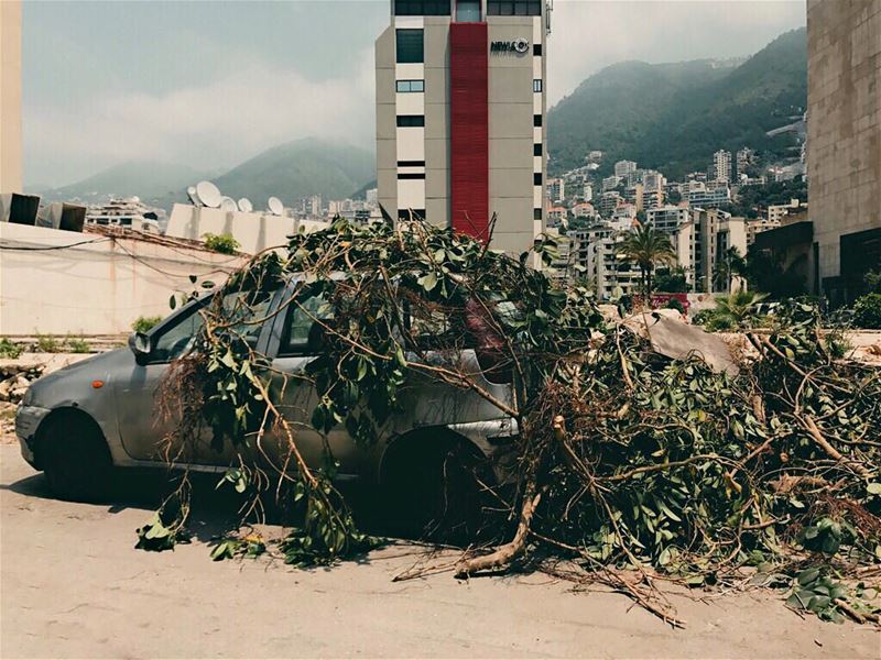  Nature making a... (Beirut, Lebanon)