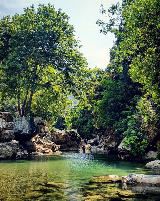  nature river green trees mountainfellas water summer vibes rocks sky... (Yahchouch)