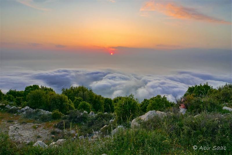 Nature speaks its own language which we can only  understand when we... (El Kfour, Mont-Liban, Lebanon)