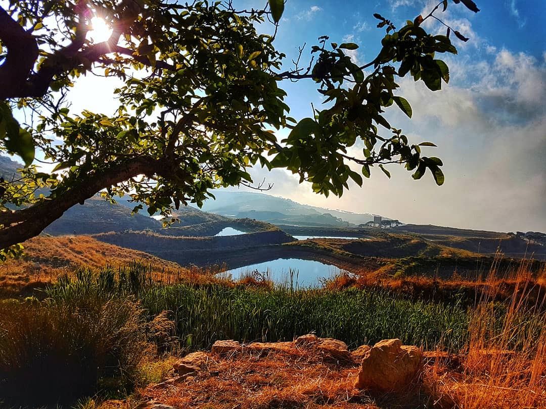 Nature trails  nature  hike  landscape  photography  ig_lebanon ... (Lebanon)