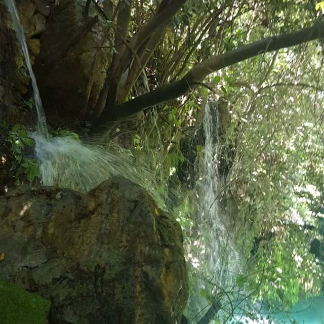  nature trees falls family instapic instaphoto naturelovers lebanon chouf... (شلالات الزرقاء -بعقلين)
