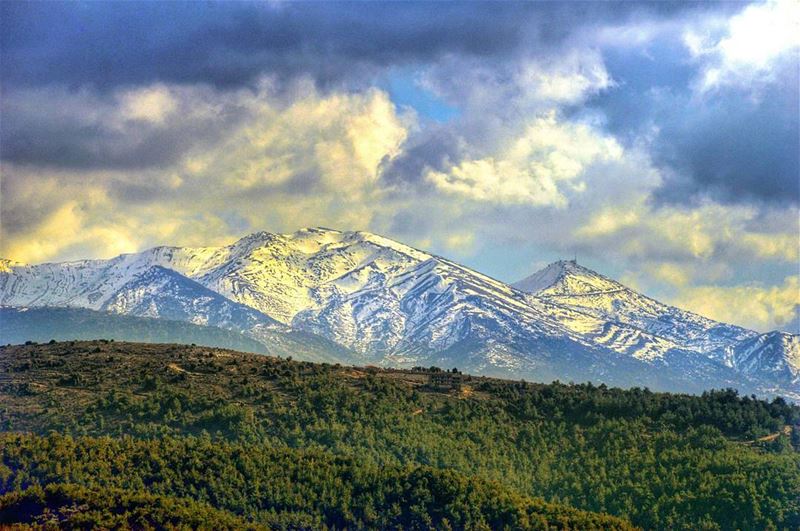  nature trip road roadtrip mountains trees forest snow green white clouds... (Barouk Cedar Forest)