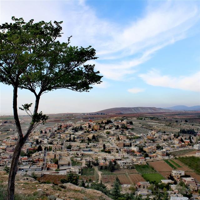  nature_photography lebanon live_love_lebanon springseason trees... (Brîtel, Béqaa, Lebanon)