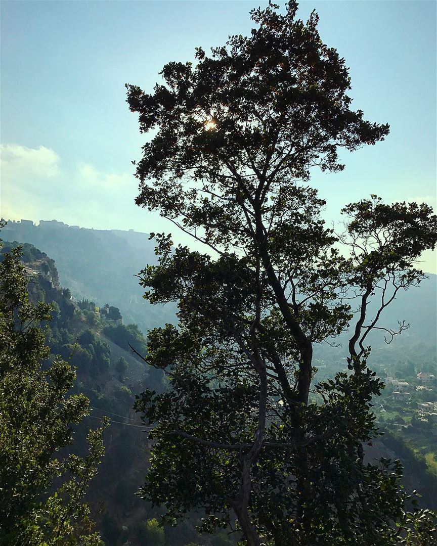  naturelover  naturephotography  jezzine  lebanon  explorelebanon ... (Jezzine District)