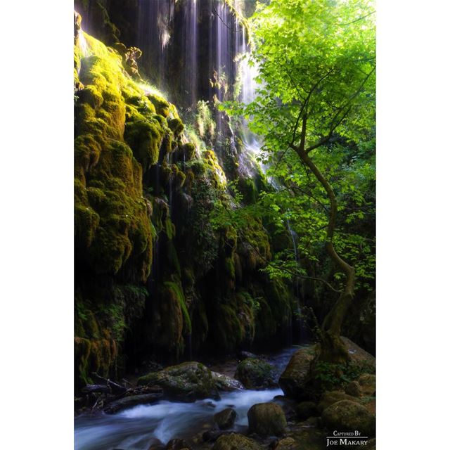  naturelovers  river  nature  nationalart  longexposure  beautifullebanon ...