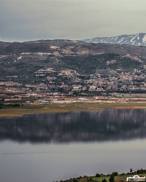  naturephotography  nature  naturelovers  lake  landscapephotography ... (Lake Qaraoun)