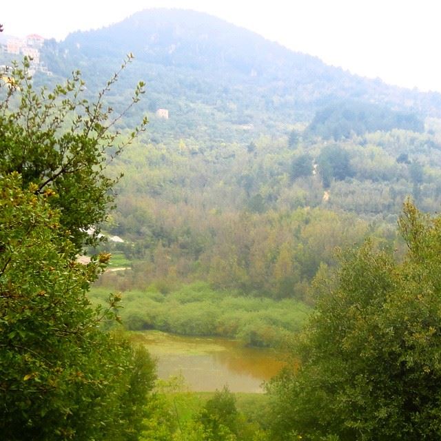 natureshots reflection mountain forest trees whatsuplebanon beautifullebanon beautifulnature etangwater riverlake