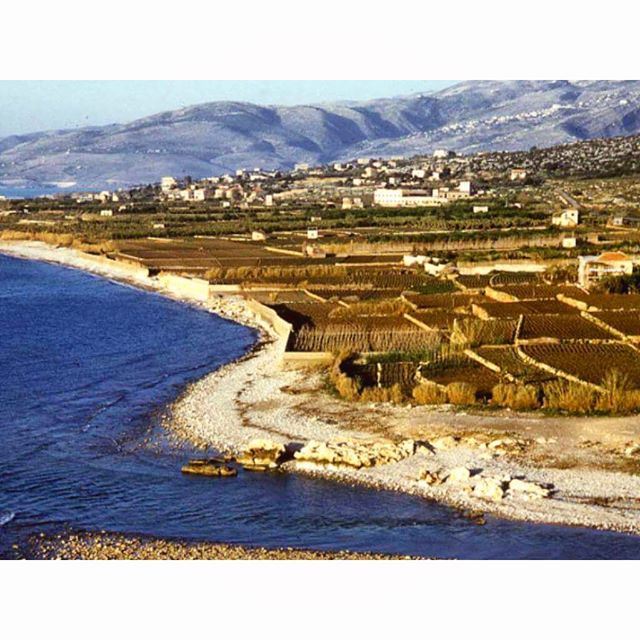 Near Naher Al-Kalb Before The Construction Of Beach Resorts.