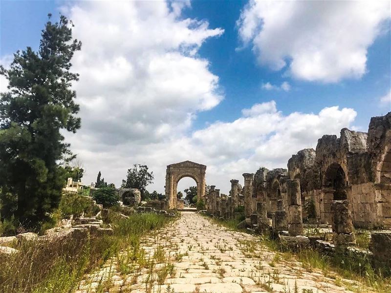 Nephophilia✨ (Tyre, Lebanon)