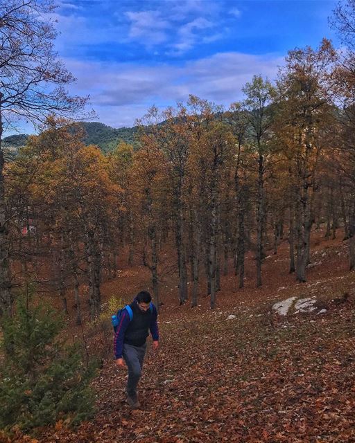 Never look back. If Cinderella had gone back to pick up her shoe, she... (`Akkar, Liban-Nord, Lebanon)