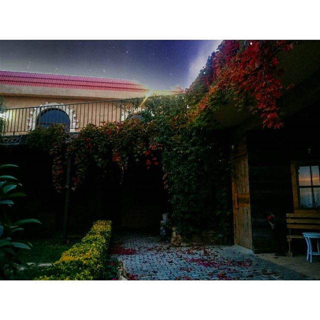 ¶¶ Never Stop Dreaming.¶¶ •••••• lebanon evening autumn fall season... (Aïn Saâdé, Mont-Liban, Lebanon)