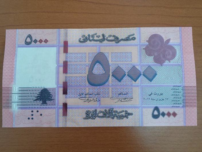 New 5000 Lira