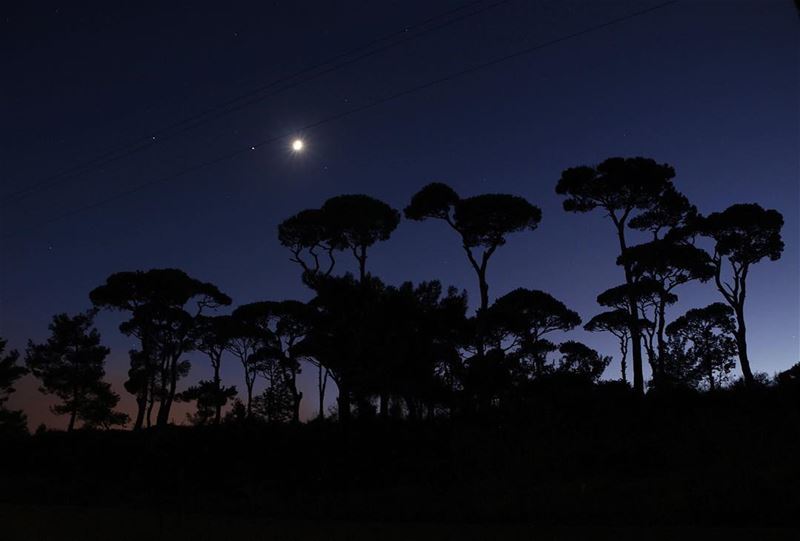 🌙 .. night nightphotography nightshot landscape landscapephotography... (Jezzîne, Al Janub, Lebanon)