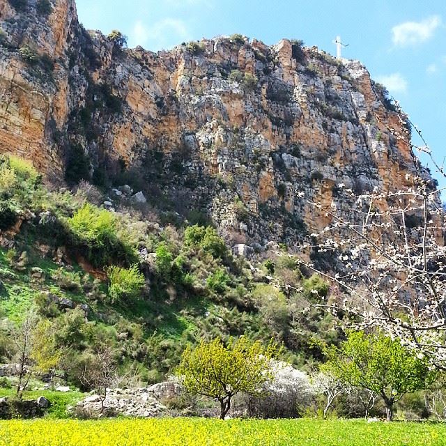  Niha  mountains  cross  Jesus  Hardin  spring  sun  flowers  green ...