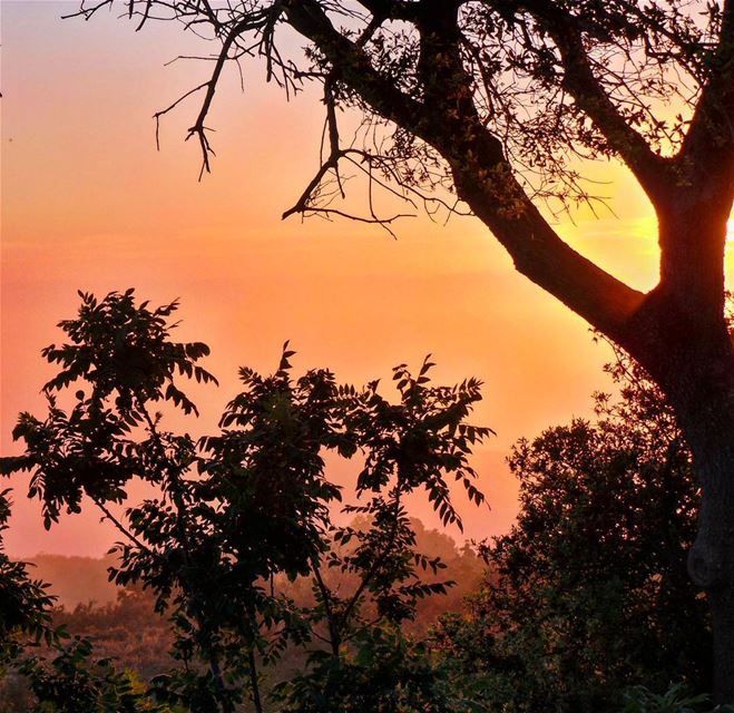  nikontop_  nikonworld  bns_sky  bns_sunset  naturelovers  unlimitedsunset... (Jabal Al Salib - Deir El Kamar)