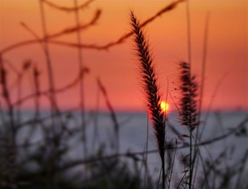  nikontop_  nikonworld  bns_sky  bns_sunset  naturelovers  unlimitedsunset... (Damour, Lebanon)