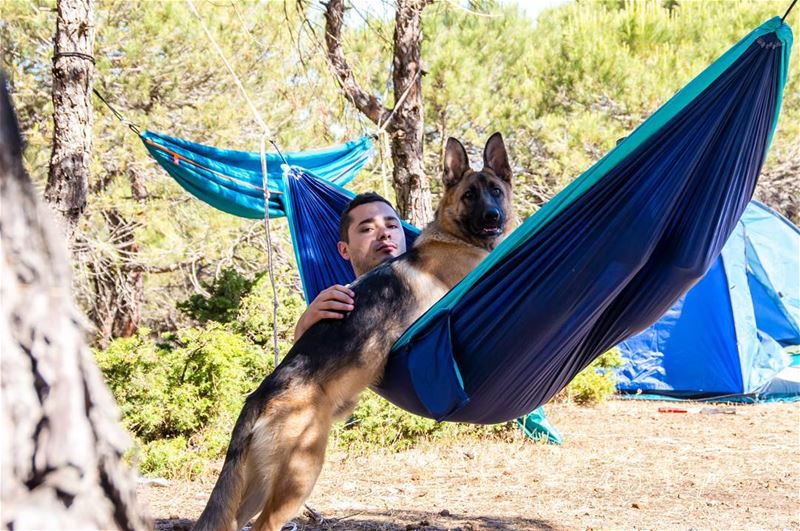 No better company🐶.... logan hammock tent dog dogs chill forest... (Marj Biskinta, Mont-Liban, Lebanon)