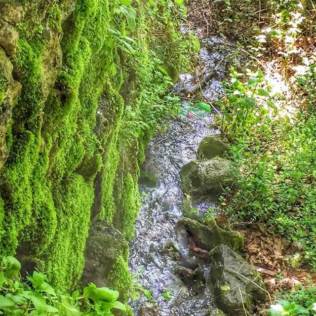 No River can return to its Source, Yet all River must have a Beginning 🏞... (Akoura, Mont-Liban, Lebanon)