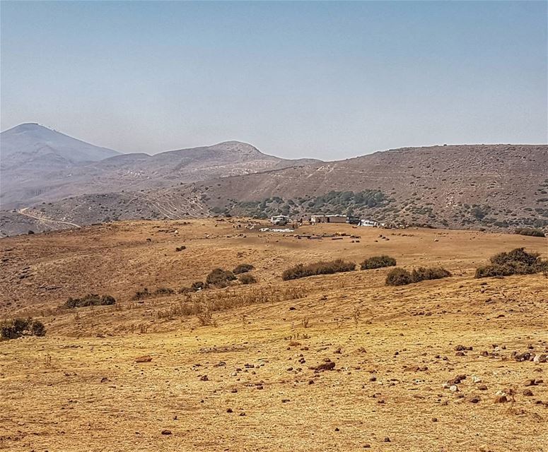 Nomads heaven  nomad  mountains  landscape  landscapephotography ... (Sannine Heights)