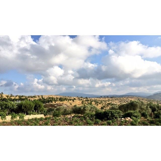 Nothing but greens and clouds 🌳🌾😋 Taken by @souhaa.s