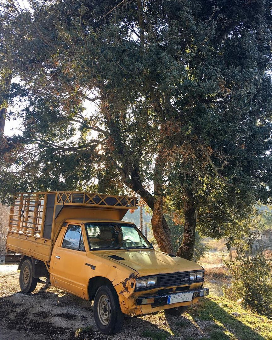 Nothing worth having comes easy... 🚚 Work Hard ☝🏻 peterwenmaken ....... (El Ghîné, Mont-Liban, Lebanon)