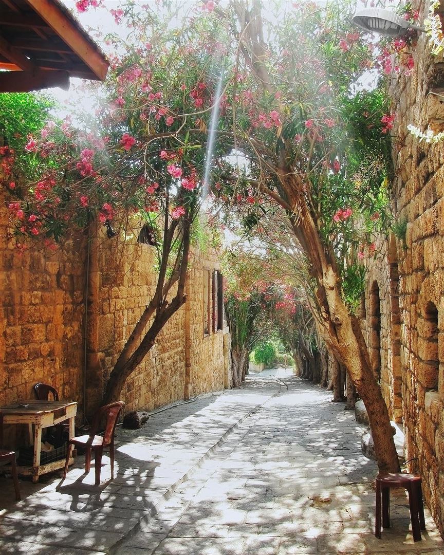 O charme das antigas e pitorescas ruas estreitas de Byblos para começar o... (Byblos, Lebanon)