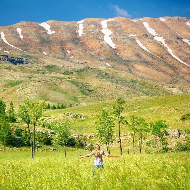 🇱🇧 O Líbano orgulha-se de você. Seja orgulhoso de suas raízes!... (Cedars of God)