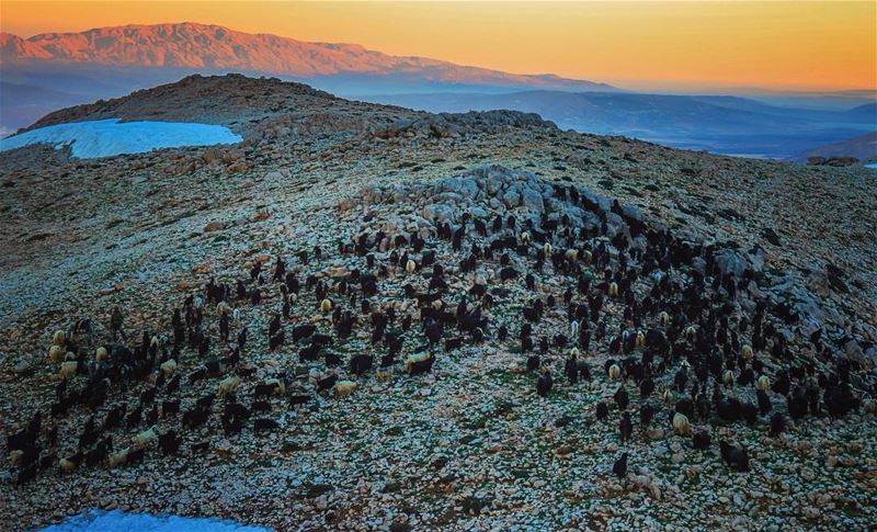 O|||||||O in the land of goats  lebanon  sunset  mountains  scenery ...