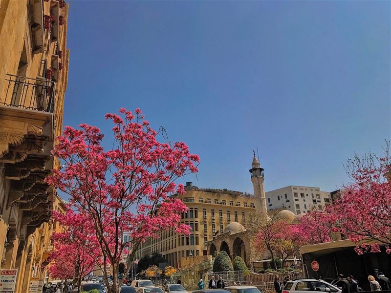 Oh Happy Day🌸, Oh Sunny Day☀️ (Downtown Beirut)