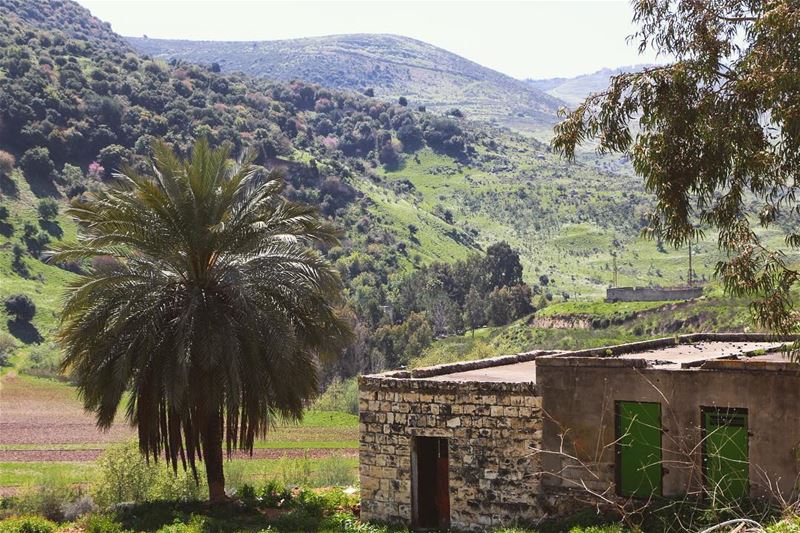 Old houses have soul..... oldhouses landscape landscapephotography... (كفرصير)