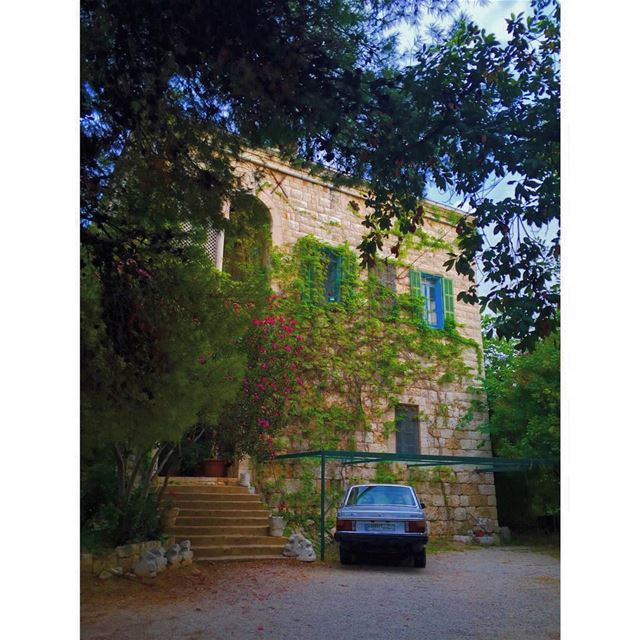 Old houses, I thought, do not belong to people ever, not really, people... (Zouk Mosbeh)