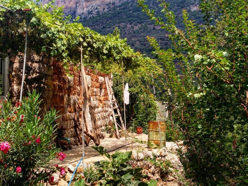 Old lebanese house -wede Annoubin old house traditional north lebanon... (Ouâdi Qannoûbîne, Liban-Nord, Lebanon)