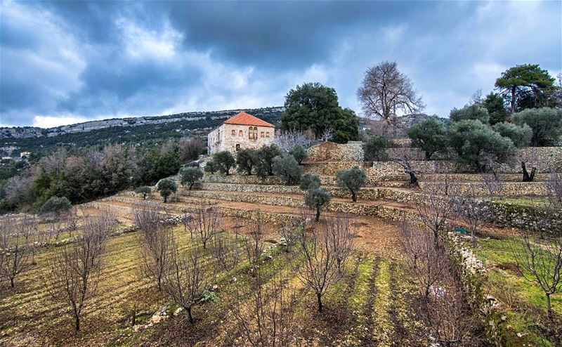  old  mountain  house  cloudy  mountains  snow  tree  winter  lebanon ...