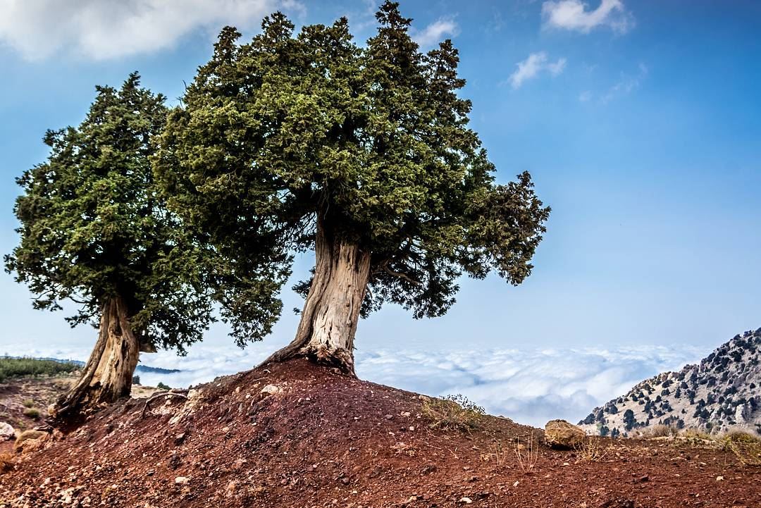 .On the edge above the world, Beautiful Akkar North of Lebanon! ... (`Akkar, Liban-Nord, Lebanon)