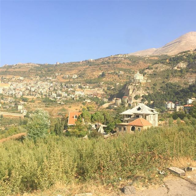 On the road... (Cedars of God)
