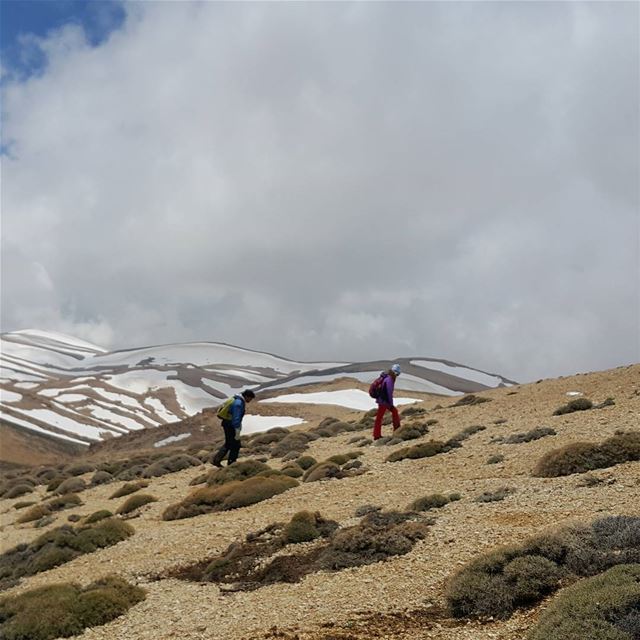 On the road to happiness naturelovers  mountains  northlebanon  lebanon ...