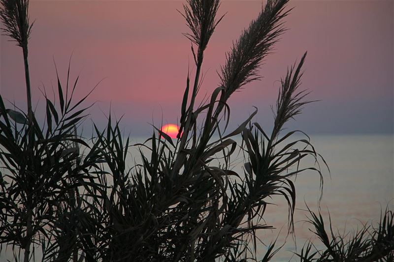 One of my  sunsets... lebanon  lebanon_hdr  ig_lebanon  insta_lebanon ...