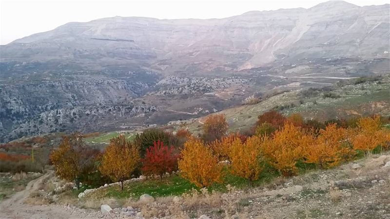 Only if you have been in the deepest valley, can you ever know how... (Zaarour Mountain)