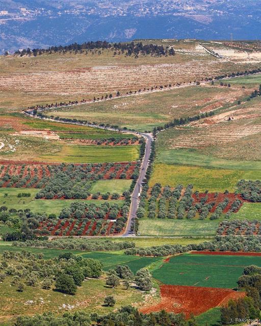 Os pequenos momentos de tranquilidade são os mais gratificantes. Linda... (Marjayoûn, Al Janub, Lebanon)