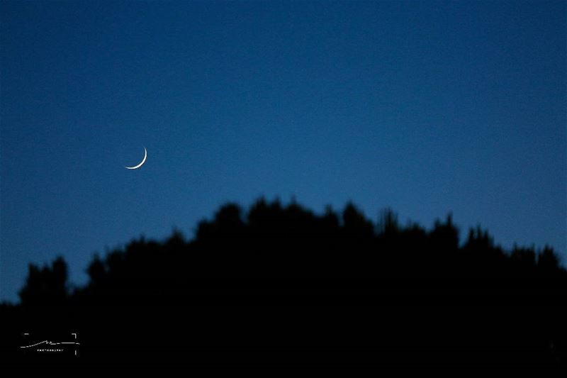 Our lovely moon 🌙 (Shailei)