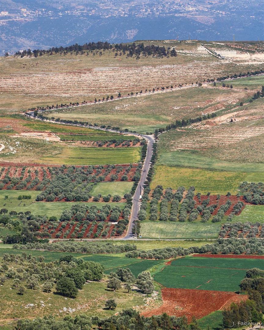 Our type of field roads @livelovemarjeyoun (Marjayoûn, Al Janub, Lebanon)