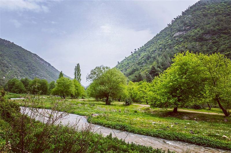 Oyoun El Samak, Lebanon  lebanon  hiking  nature  outdoors ... (3youn el Samak)