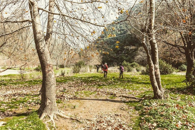 Oyoun El Samak, Lebanon  lebanon  hiking  nature  outdoors ... (3youn el Samak)