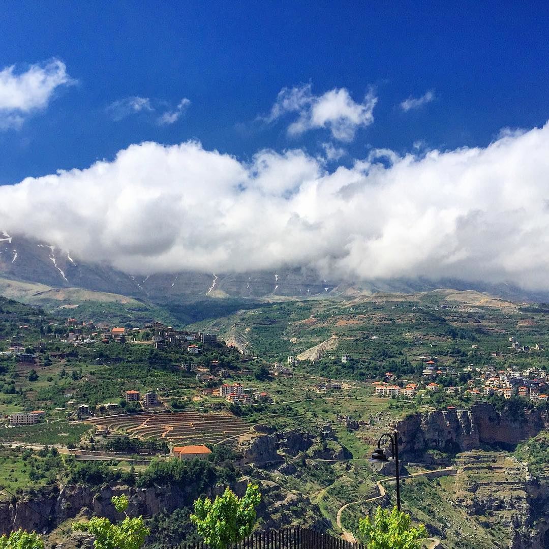  panoramic  view  landscape  valley  trees  nature  blue  sky  clouds ... (Bsharri, Lebanon)
