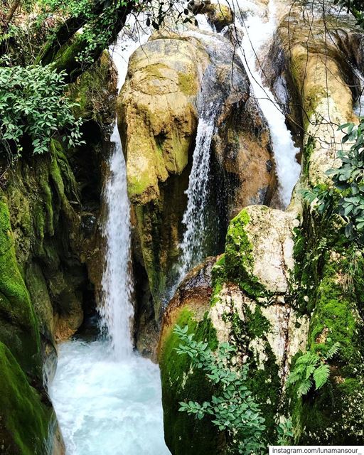 Paradise.... (Jdaïdet Ech Choûf, Mont-Liban, Lebanon)