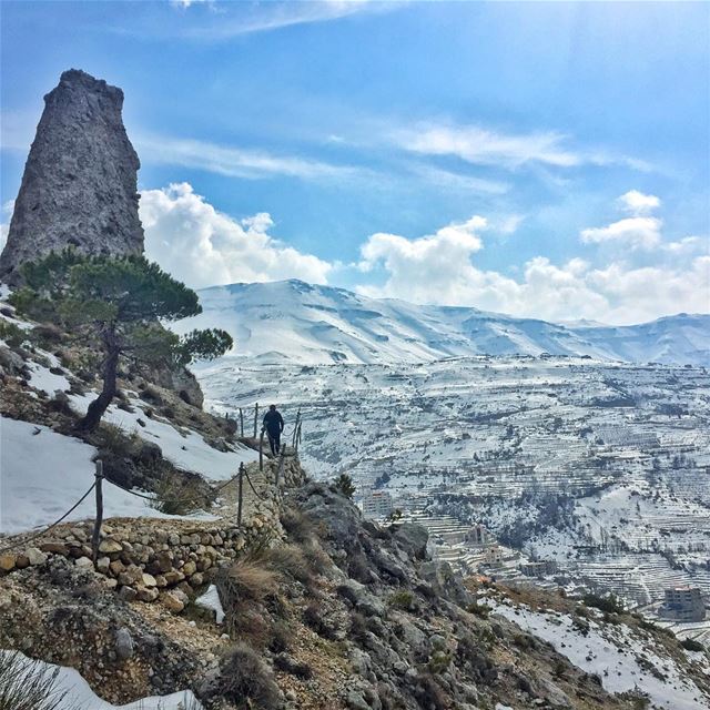 Path to... (Cedars of God)