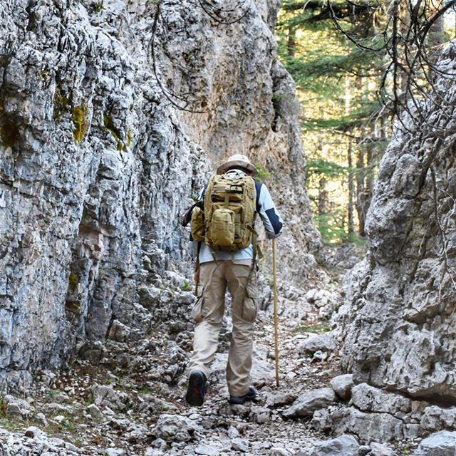 Paths are made by walking (Franz Kafka) 🌲🍁🍃•••••••••••••••••••••••••••• (Hadath El-Jubbah, Liban-Nord, Lebanon)