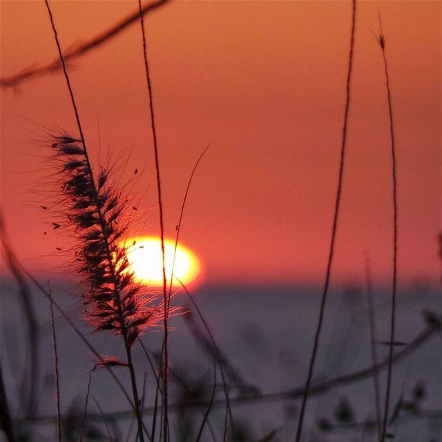 Peace is the beauty of life.  nikontop_  nikonworld  bns_sky  bns_sunset ... (Damour, Lebanon)