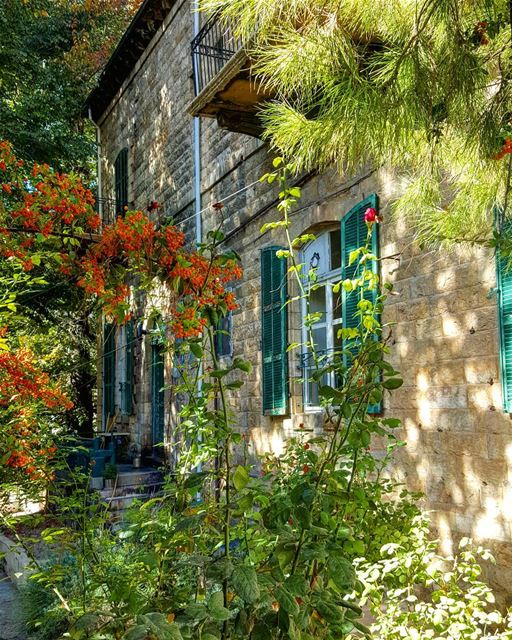 Peeking through the iron gate, there she was, bathing in the morning... (Zahlé, Lebanon)